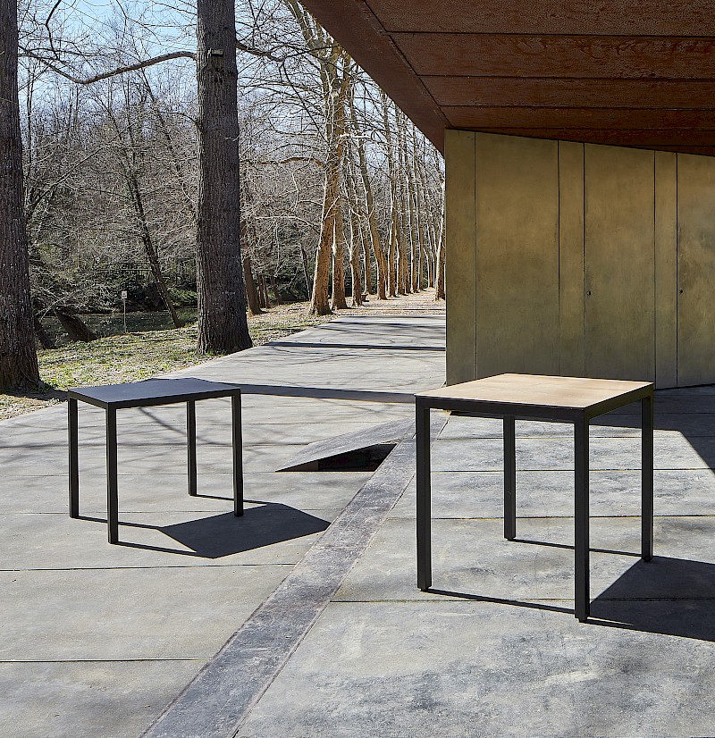 barcino 20compact 20cat