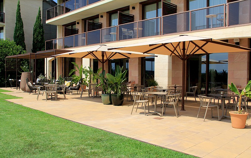 mas sola 6 woody fall 1