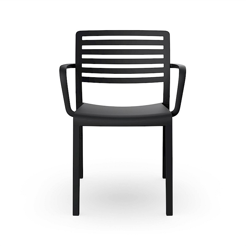 00873 lama brazos negro