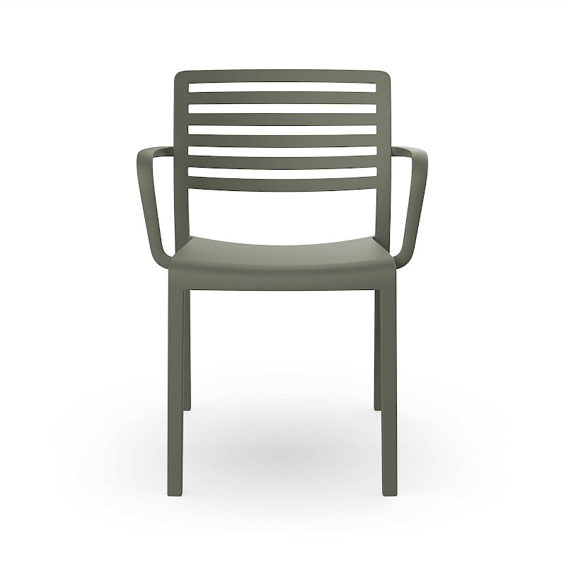 07055 lama brazos grisverdoso